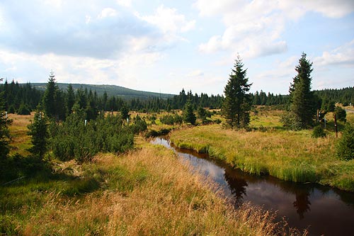 Jizerské hory