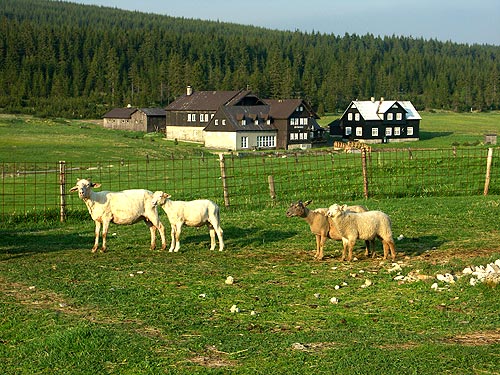 Jizerské hory