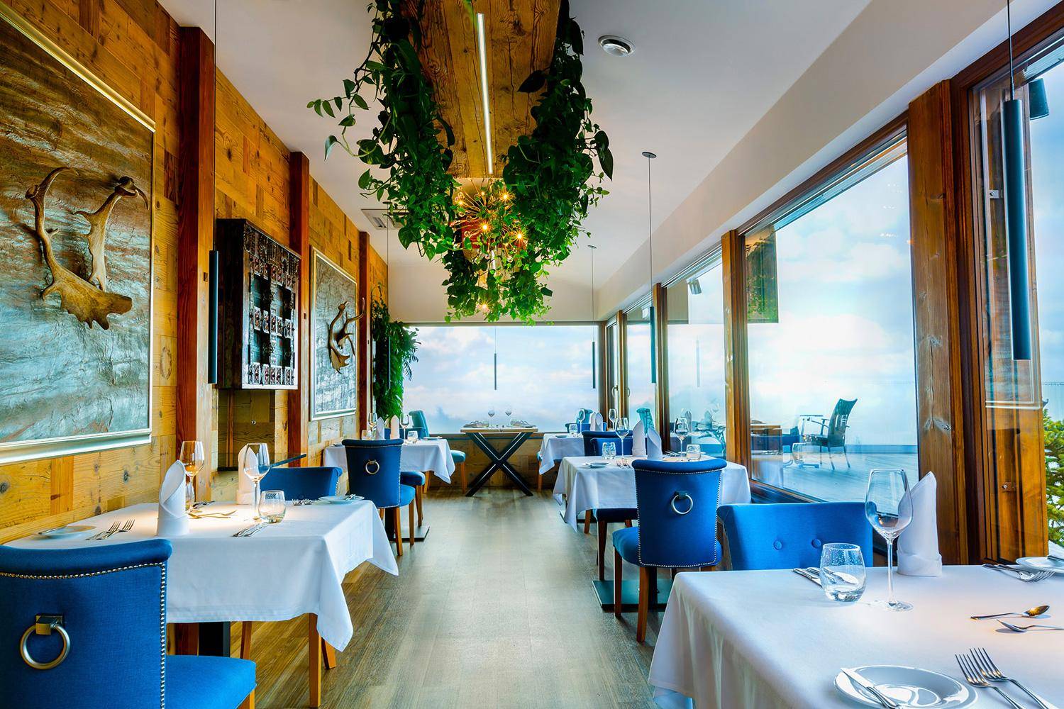 Restaurace 12